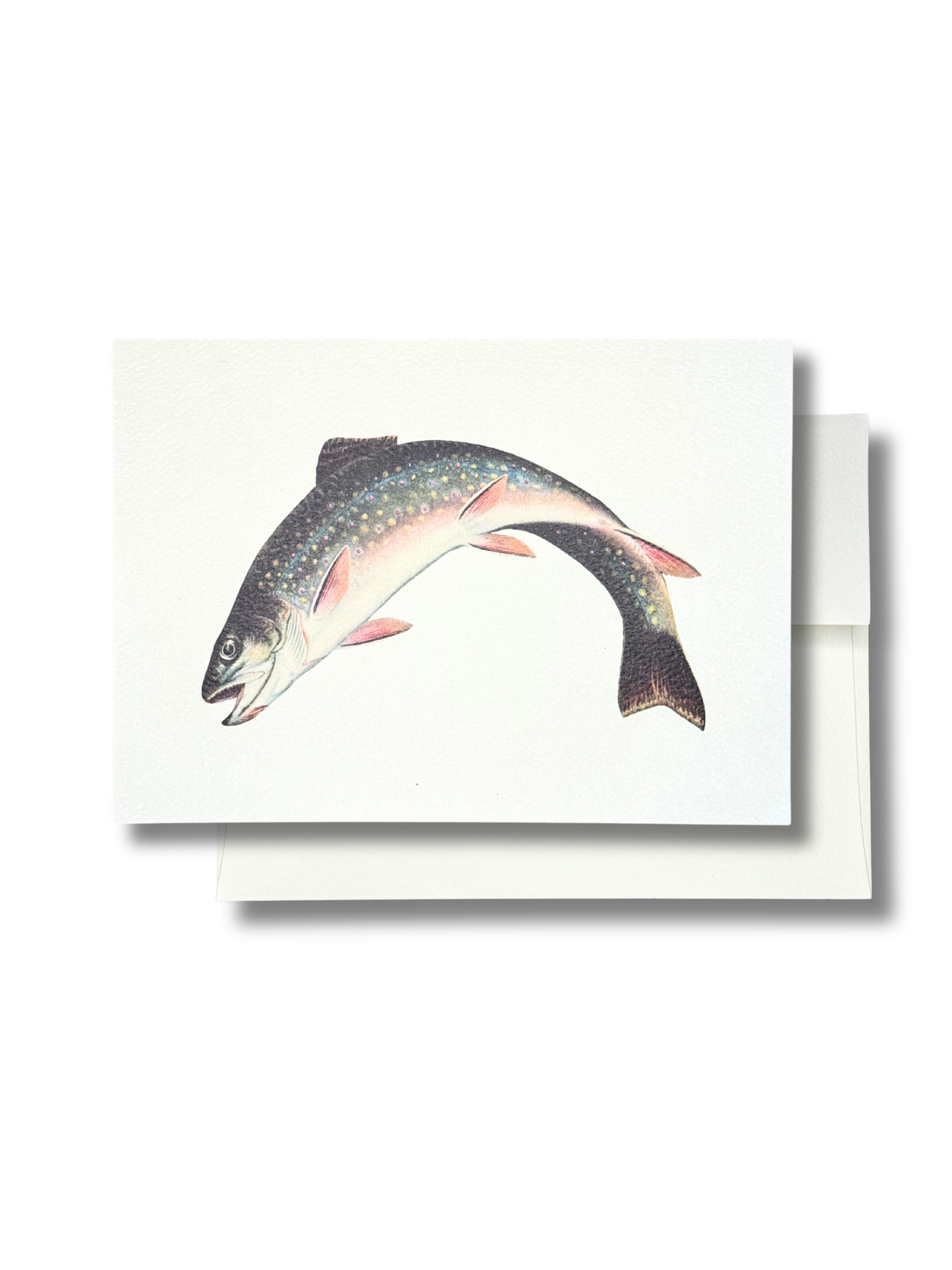 Fish // Casting