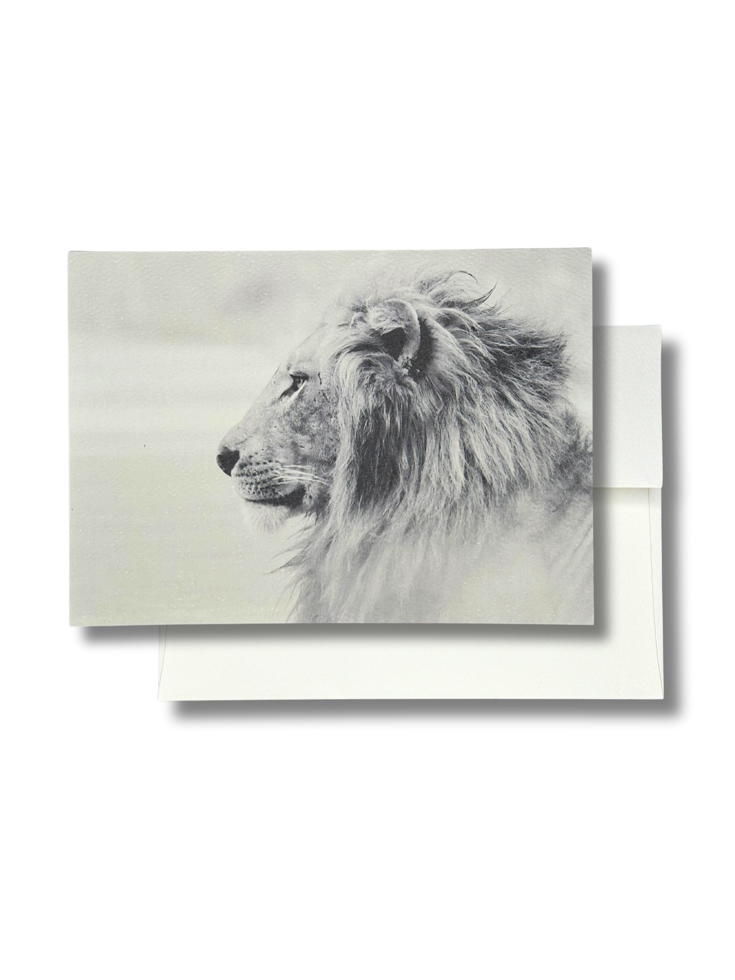 Lion // Pride Ink & Steel