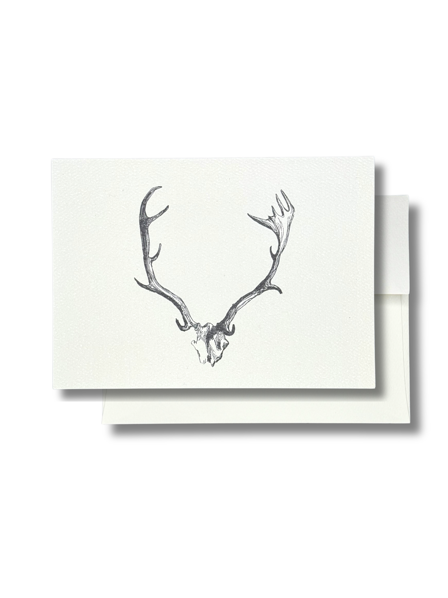 Elk // Antlers